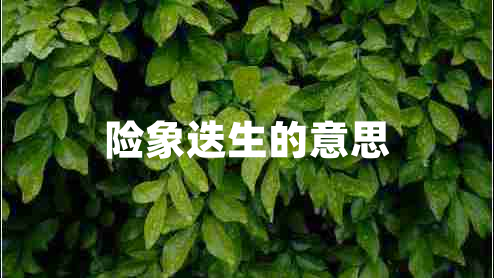 險(xiǎn)象迭生的意思