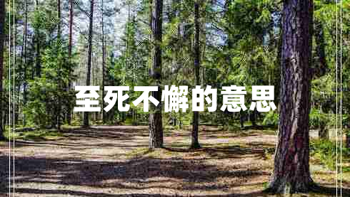 至死不懈的意思