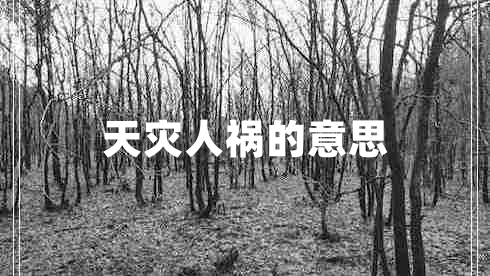 天災(zāi)人禍的意思