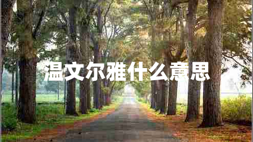 溫文爾雅什么意思