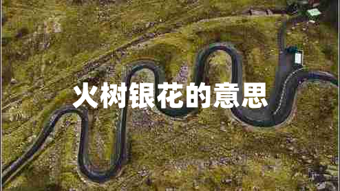火樹(shù)銀花的意思 火樹(shù)銀花的意思