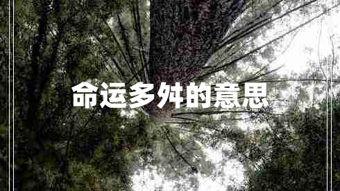 命運多舛的意思