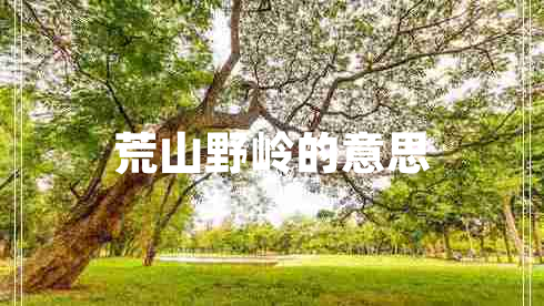 荒山野嶺的意思