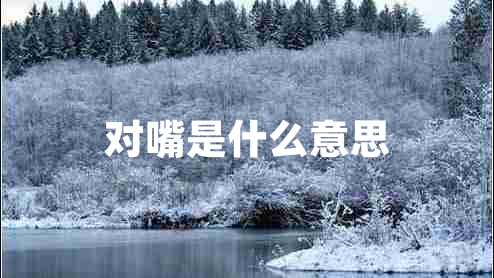 對嘴是什么意思