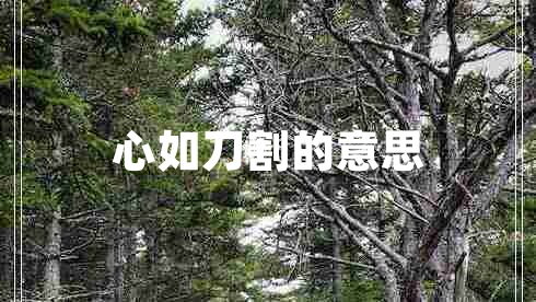 心如刀割的意思