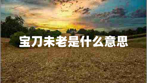 寶刀未老是什么意思