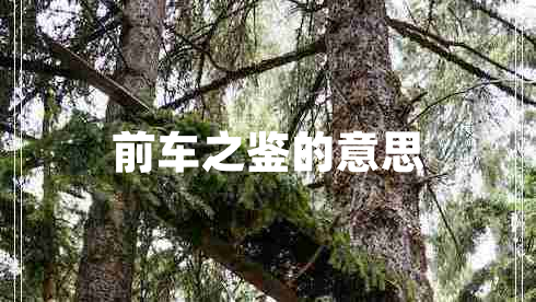 前車之鑒的意思 前車之鑒的意思