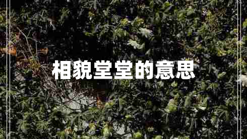 相貌堂堂的意思 相貌堂堂的意思