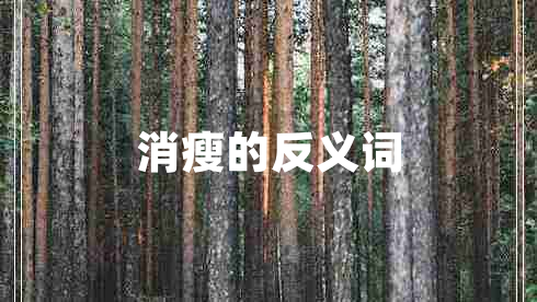 消瘦的反義詞 消瘦的反義詞