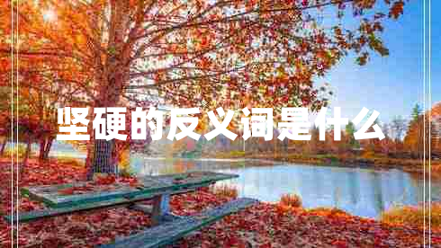 堅(jiān)硬的反義詞是什么