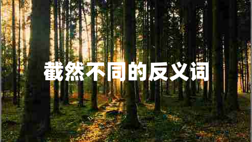 截然不同的反義詞