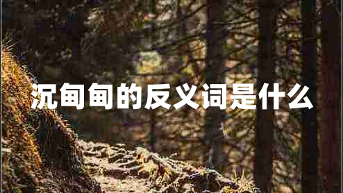 沉甸甸的反義詞是什么