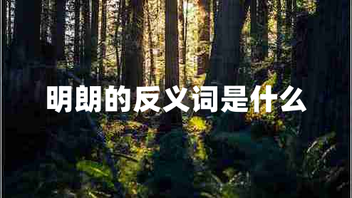 明朗的反義詞是什么