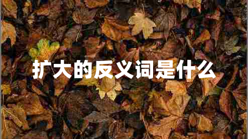 擴(kuò)大的反義詞是什么 擴(kuò)大的反義詞是什么