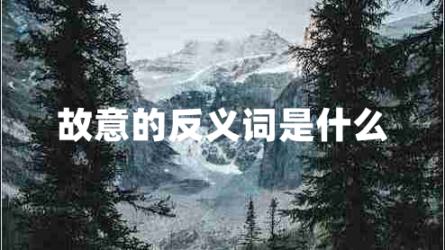故意的反義詞是什么
