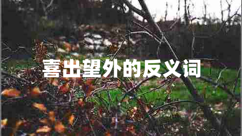 喜出望外的反義詞 喜出望外的反義詞