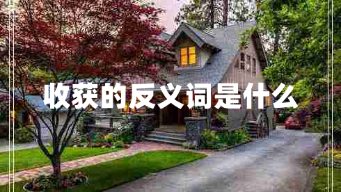 收獲的反義詞是什么 收獲的反義詞是什么