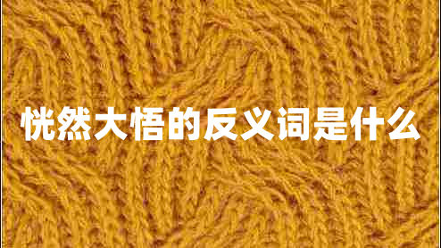 恍然大悟的反義詞是什么