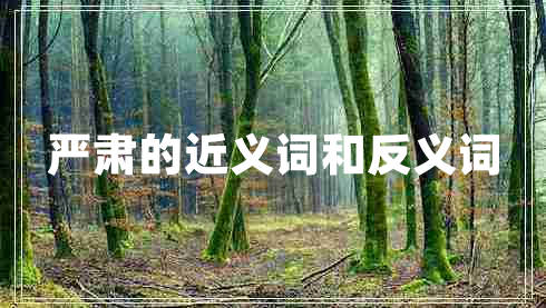 嚴(yán)肅的近義詞和反義詞