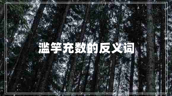 濫竽充數(shù)的反義詞