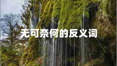 無(wú)可奈何的反義詞 無(wú)可奈何的反義詞