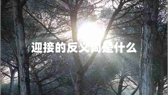 迎接的反義詞是什么