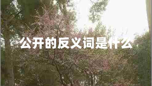 公開(kāi)的反義詞是什么