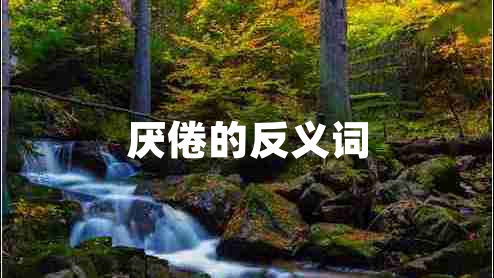 厭倦的反義詞 厭倦的反義詞