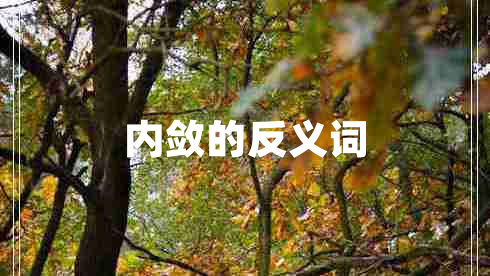 內(nèi)斂的反義詞 內(nèi)斂的反義詞