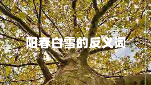 陽春白雪的反義詞