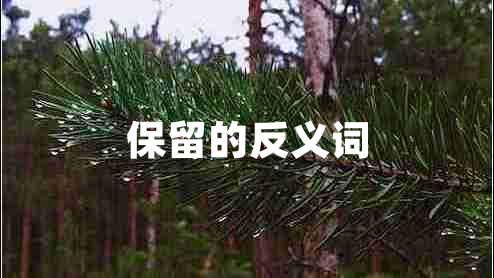 保留的反義詞