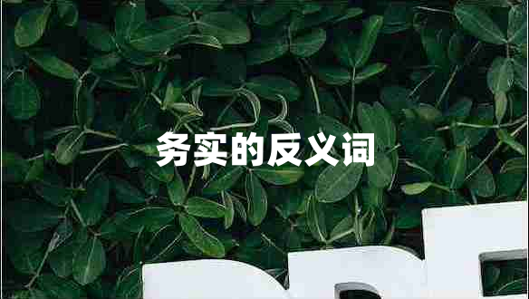 務(wù)實的反義詞