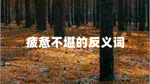 疲憊不堪的反義詞