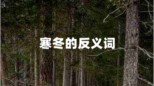 寒冬的反義詞