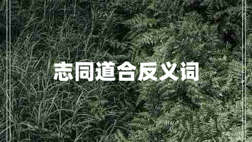 志同道合反義詞