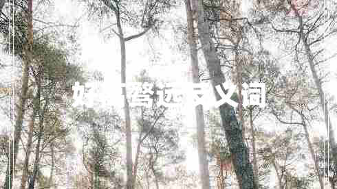 好高騖遠反義詞