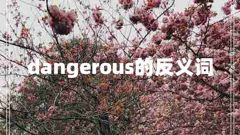 dangerous的反義詞 dangerous的反義詞