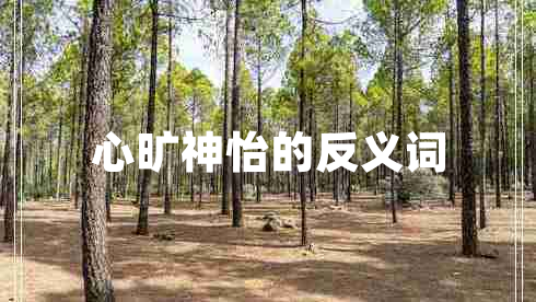 心曠神怡的反義詞 心曠神怡的反義詞