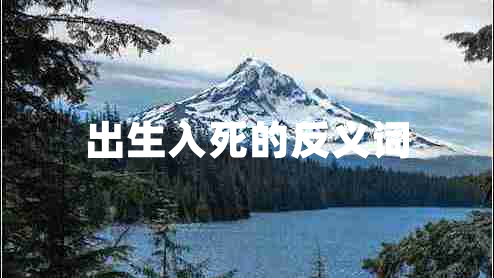出生入死的反義詞