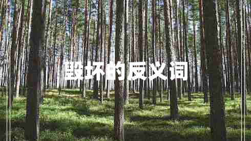 毀壞的反義詞 毀壞的反義詞