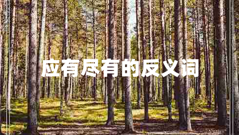 應(yīng)有盡有的反義詞