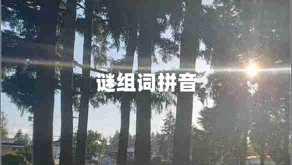 謎組詞拼音 謎組詞拼音