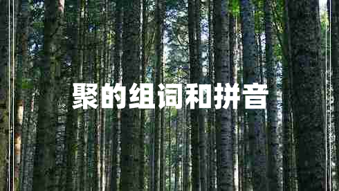 聚的組詞和拼音