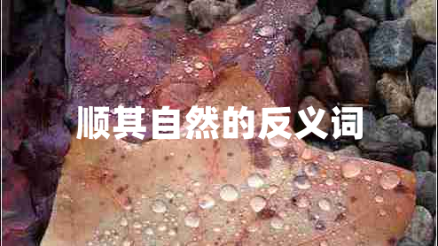 順其自然的反義詞