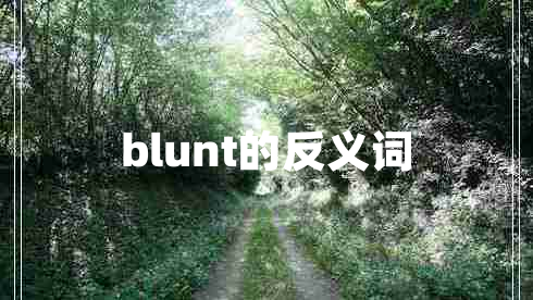 blunt的反義詞