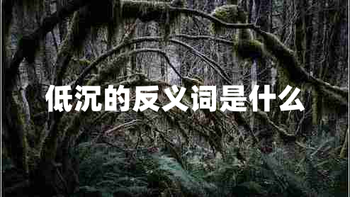 低沉的反義詞是什么