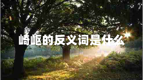 崎嶇的反義詞是什么