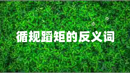 循規(guī)蹈矩的反義詞