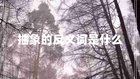 抽象的反義詞是什么 抽象的反義詞是什么