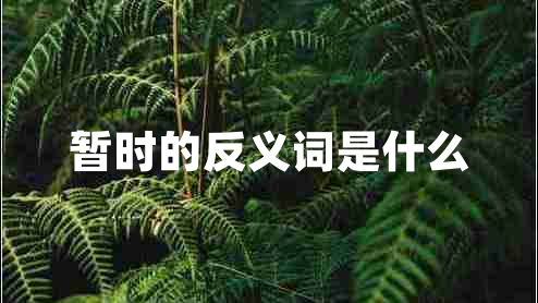 暫時(shí)的反義詞是什么